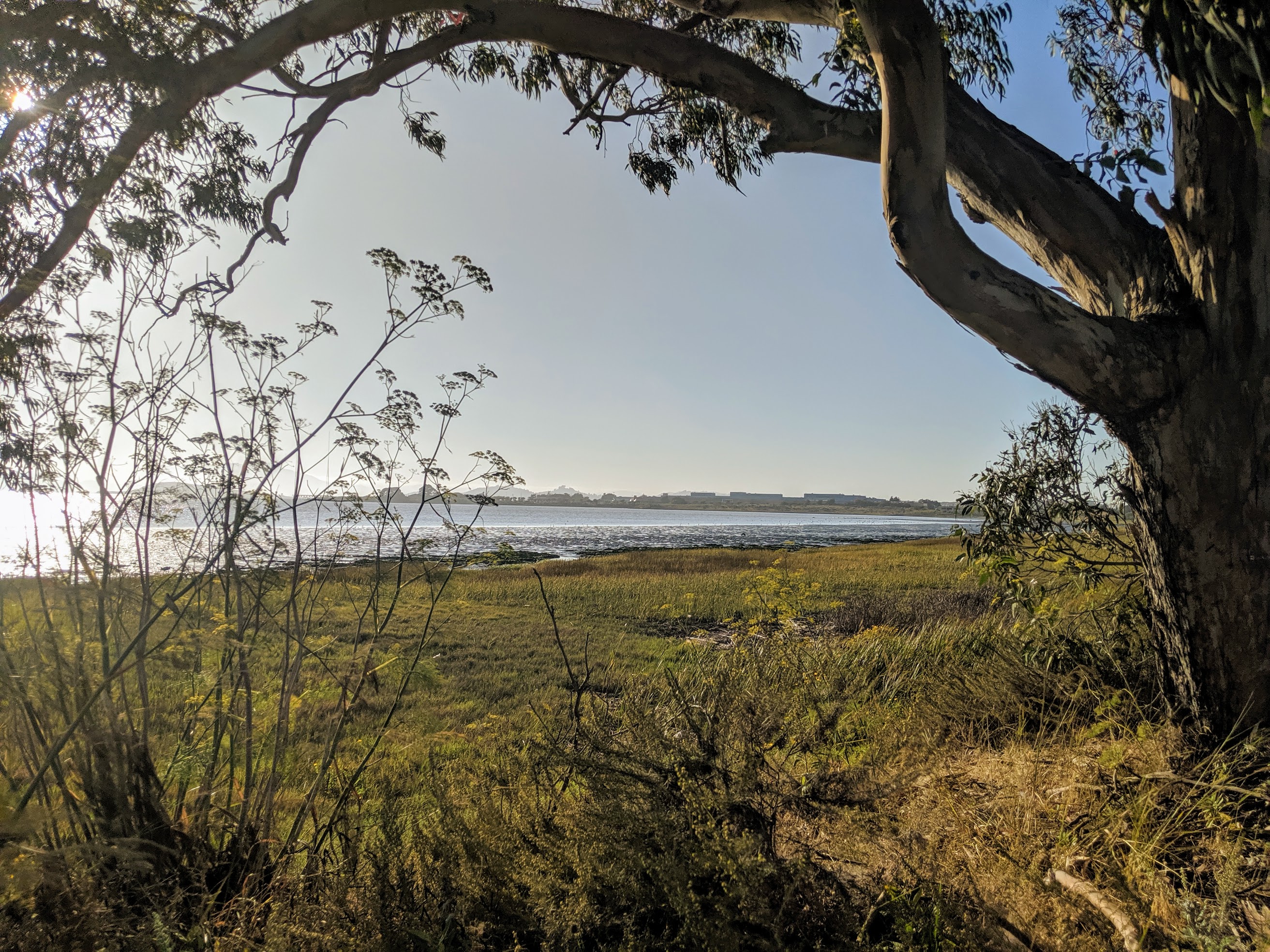 La baia di San Francisco fotografata dal sentiero Bay Trail che la costeggia da sud a nord lungo il lato est. Alcuni punti sono molto vicini all'autostrada rendendo il percorso un po' meno "naturale".