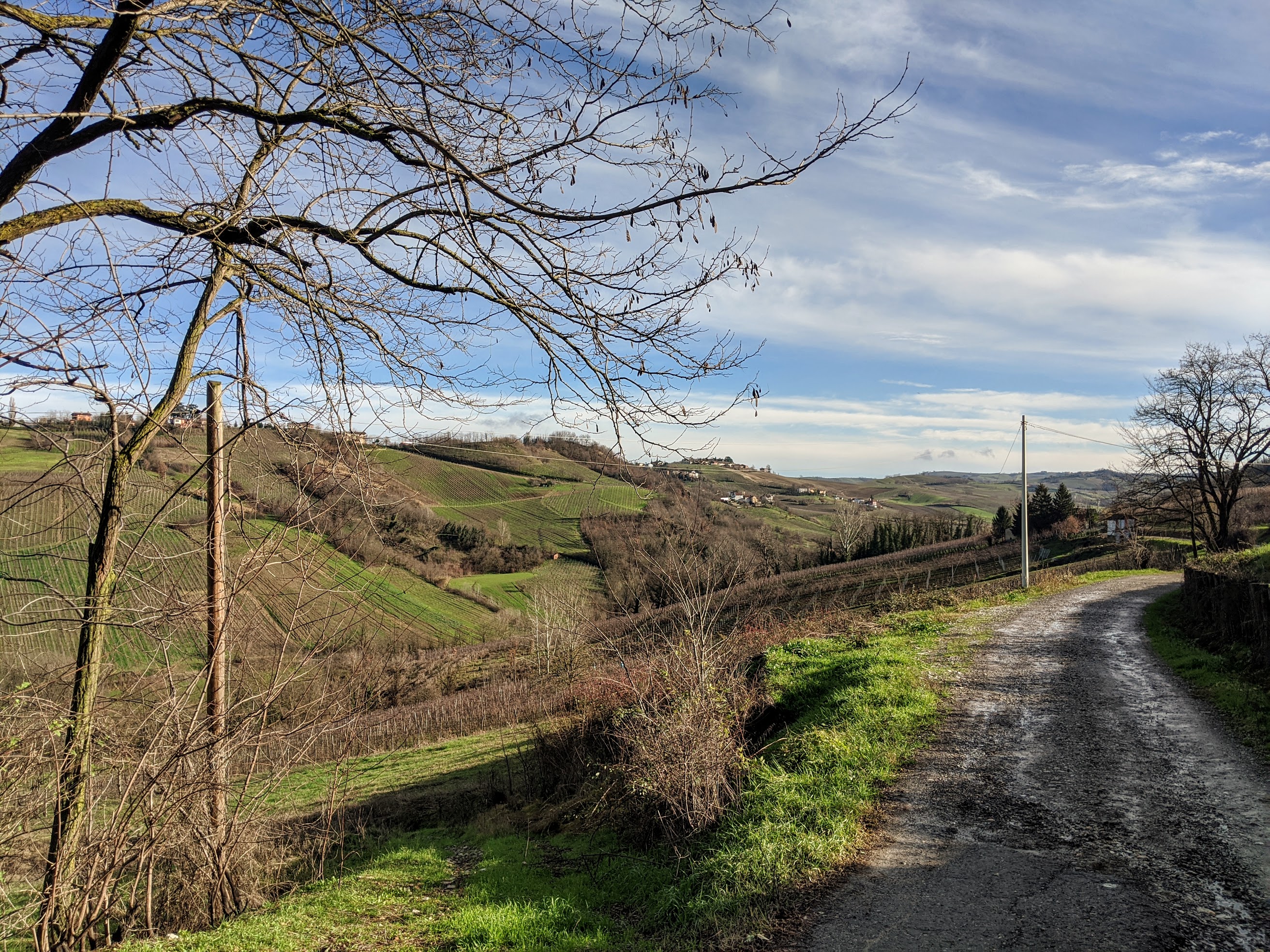 Anche in pieno inverno l'Oltrepo Pavese offre sempre uno squarcio di sole,  un irresistibile richiamo per una bella corsetta su e giù per le colline e i vigneti.