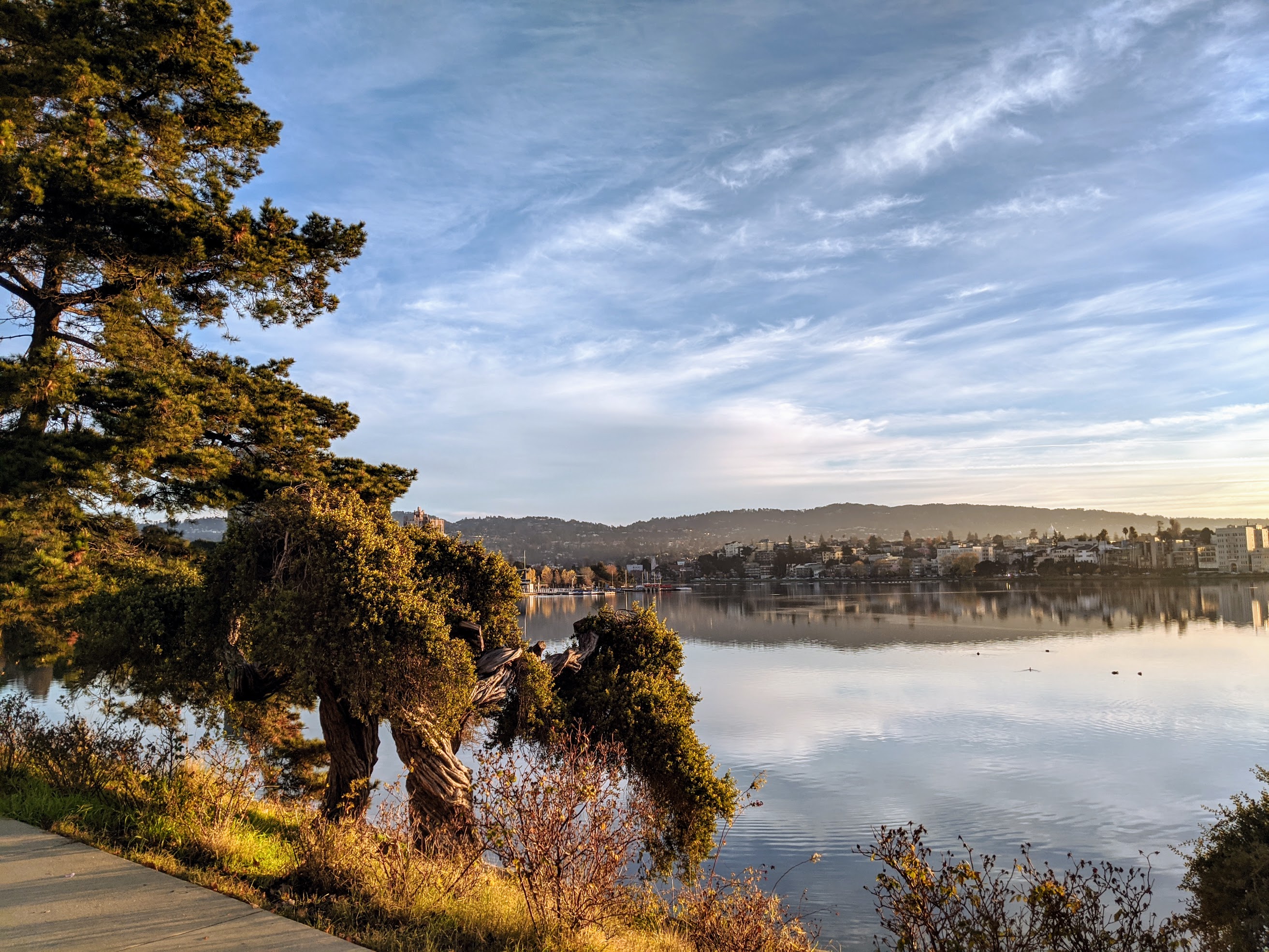 Lake Merritt a Oakland, CA. L'intero loop attorno al lago è percorribile lungo un tracciato di uso esclusivo per runner e camminatori.