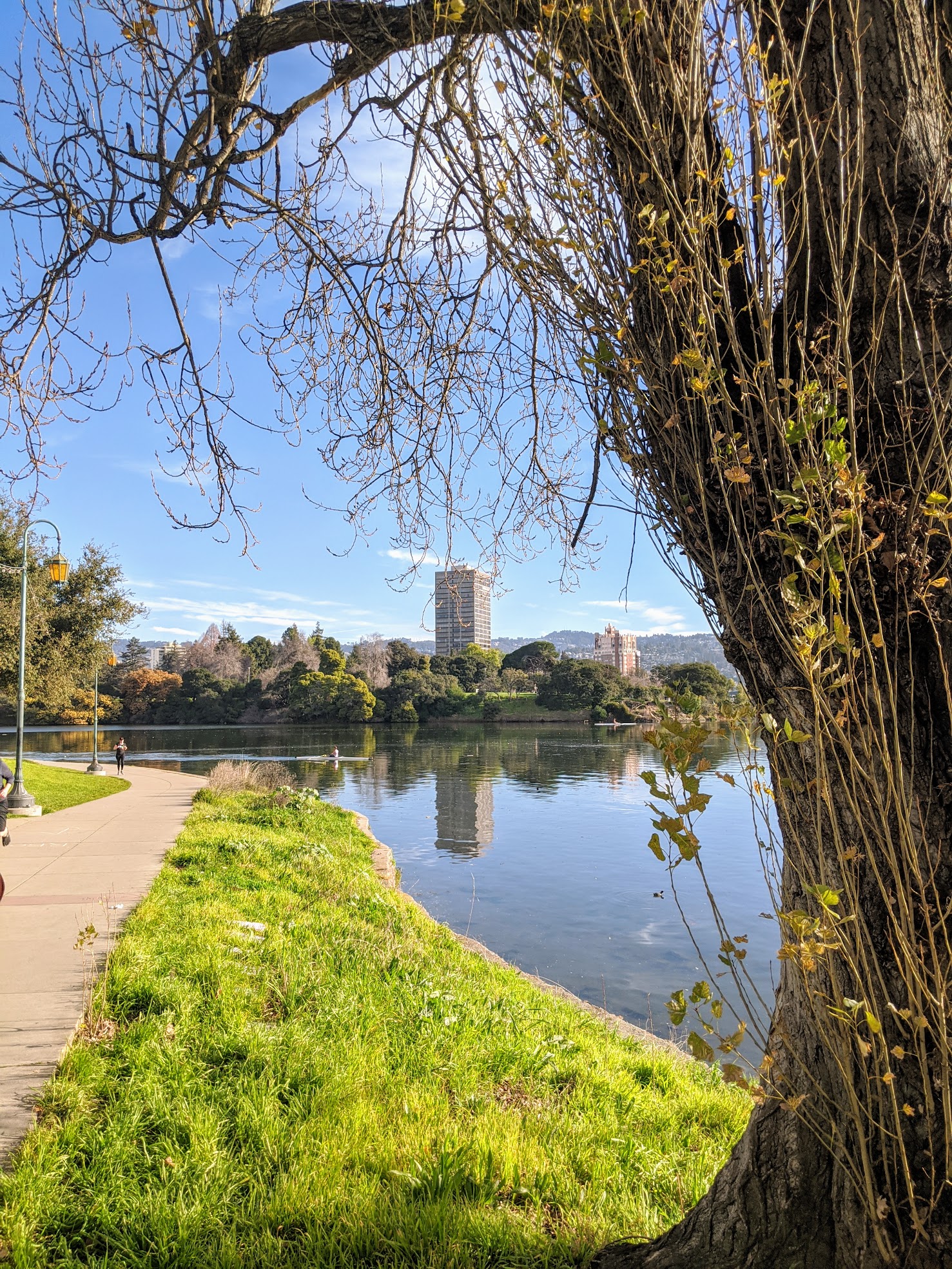 Lake Merritt a Oakland, CA. Il giro del lago sono esattamente 5 km. Percorso perfetto per una corsetta rilassata la domenica mattina.